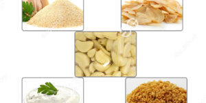 clasificación de los productos de ajo