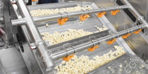 cómo-limpiar-los-dientes-de-ajo