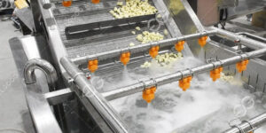 cómo-se-lava-el-ajo-en-una-fábrica