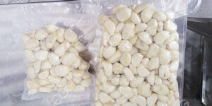 cómo-se-procesan-los-dientes-de-ajo