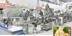 equipos-para-procesar-ajo1