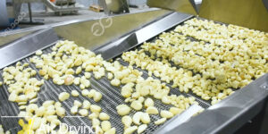 industria-de-procesamiento-del-ajo