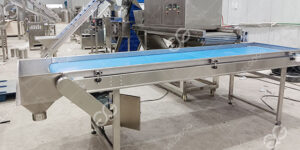 informe-de-proyecto-de-negocio-de-pelado-de-ajo