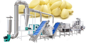 línea-de-procesamiento-de-ajo