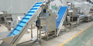 línea-de-producción-de-ajo-pelado