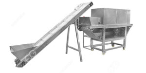 negocio-de-ajo-pelado-cerca-de-mí