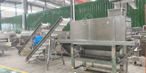 unidad-de-procesamiento-de-ajo