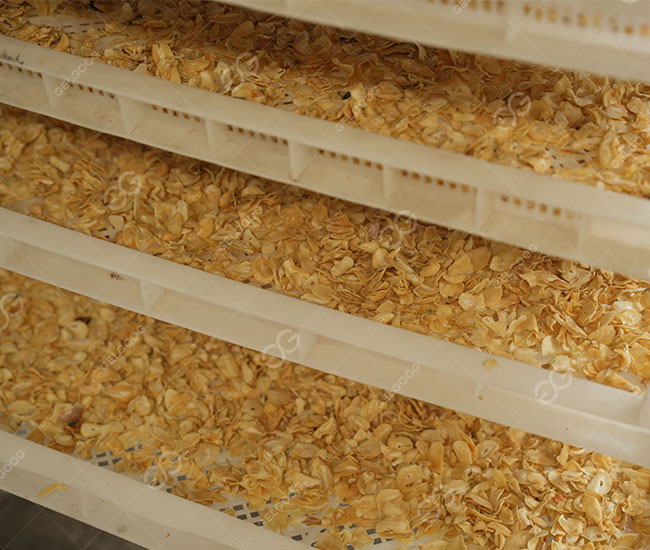 garlic-drying